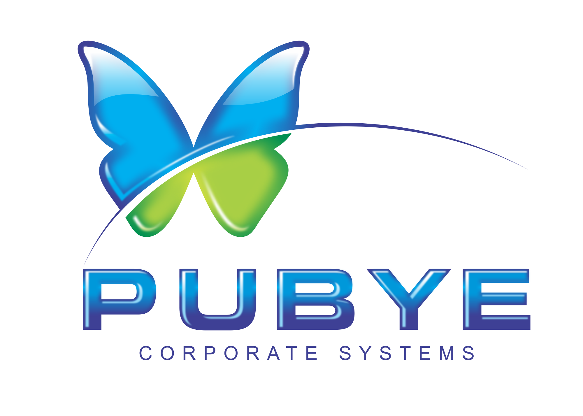 Logo Pubye